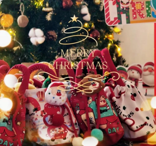 Joyeux Noël 2025 !